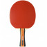 Cornilleau Sport 300 **