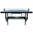 Stiga Performance Indoor CS 