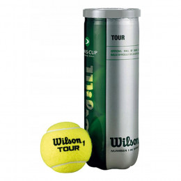 Теннисные мячи Wilson Tour Davis Cup 72ball