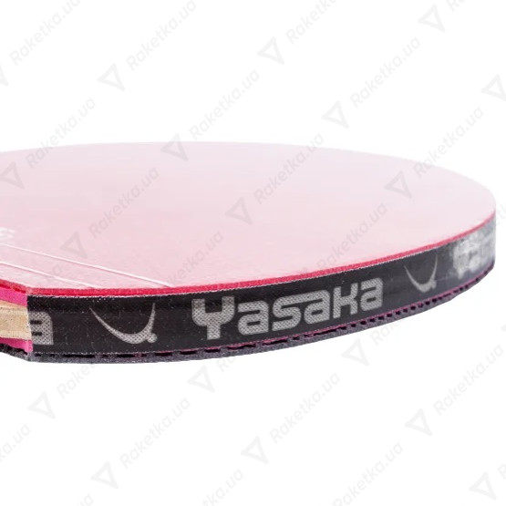Yasaka Leader 3D