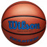 Wilson Evolution Size 7 WTB0595XB0704