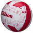 Wilson Seasonal Vball Summer Size 5