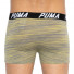 Puma Bold Stripe Boxer 2-pack Gray/White