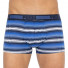 Puma Worldhood Stripe Trunk 2-pack Gray/Blue