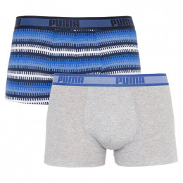 Трусы Puma Worldhood Stripe Trunk 2-pack Gray/Blue