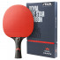 Stiga Royal 5-Star Carbon