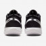 Nike Court Zoom Pro HC DH0618-010