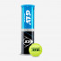 Dunlop ATP Official 4 ball