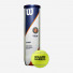 Wilson Roland Garros Clay Court 4ball