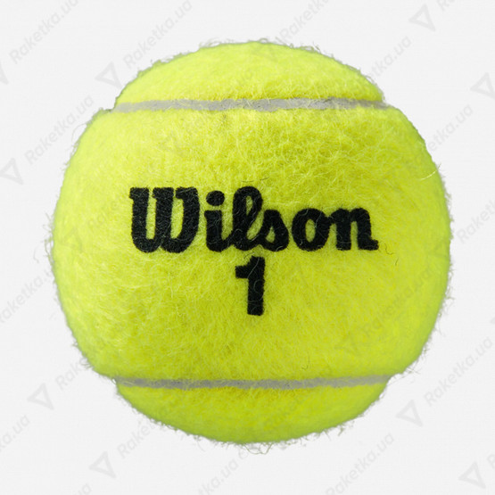 Wilson Roland Garros Clay Court 4ball