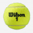 Wilson Roland Garros Clay Court 4ball