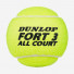 Dunlop Fort All Court TS 4ball