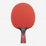 Joola Carbon Speed