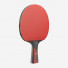 Joola Carbon Speed