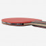 Joola Match PRO