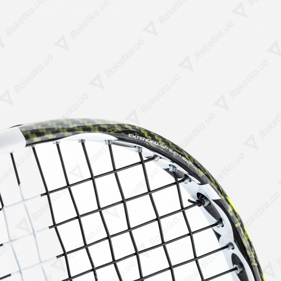 Tecnifibre Carboflex 135 X-TOP 12CAR135XT
