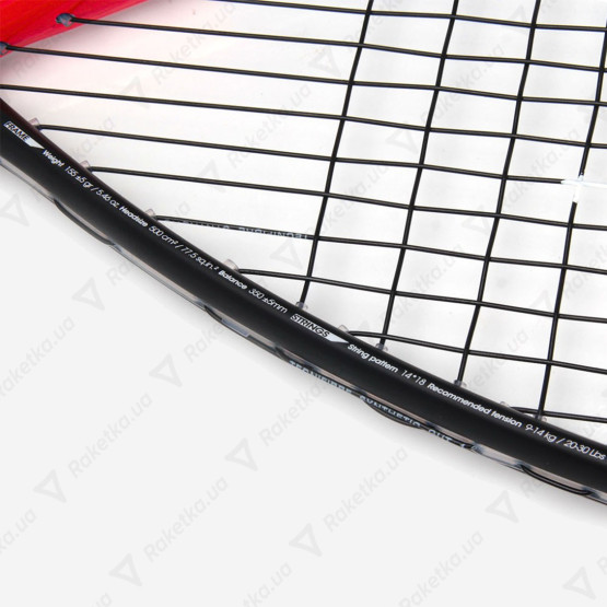 Tecnifibre Cross Power