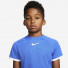 Nike Court Dry Fit CD6131-480
