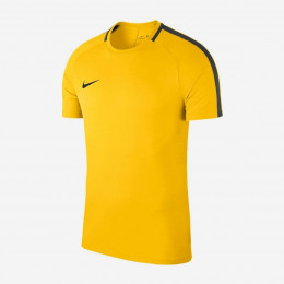 Теннисная футболка Nike Dry Academy 18 Shirt Kids 893750-719