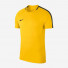 Nike Dry Academy 18 Shirt Kids 893750-719