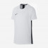 Nike Kids Dry Academy AO0739-100