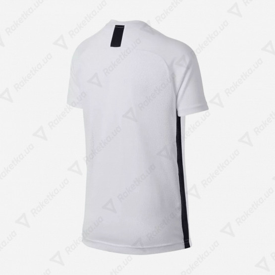 Nike Kids Dry Academy AO0739-100