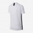Nike Kids Dry Academy AO0739-100