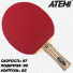 Atemi 3000 Carbon Eco-Line