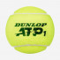 Dunlop ATP Official 3 ball
