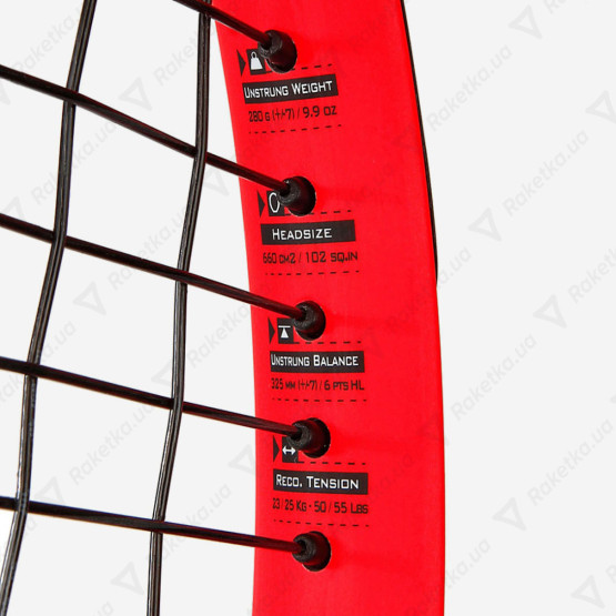 Babolat Boost Strike 121210/313