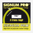 Signum Pro Triton 12,2m