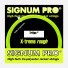 Signum Pro Triton 12,2m