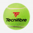 Tecnifibre X-One 4ball