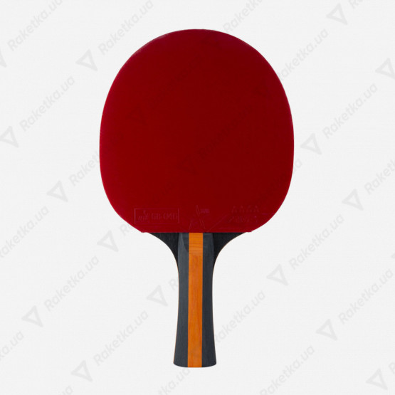 Stiga Vision 4-Star
