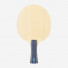 Butterfly Fan Zhendong ALC