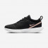 Nike Zoom Court Pro HC DH0990-091