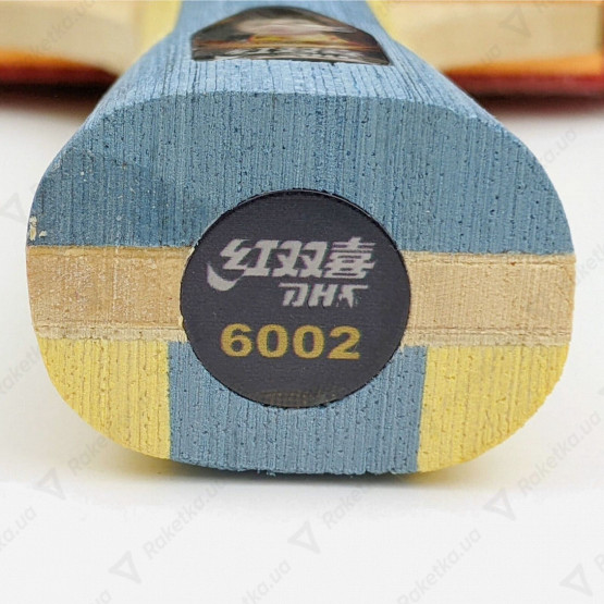 DHS 6002