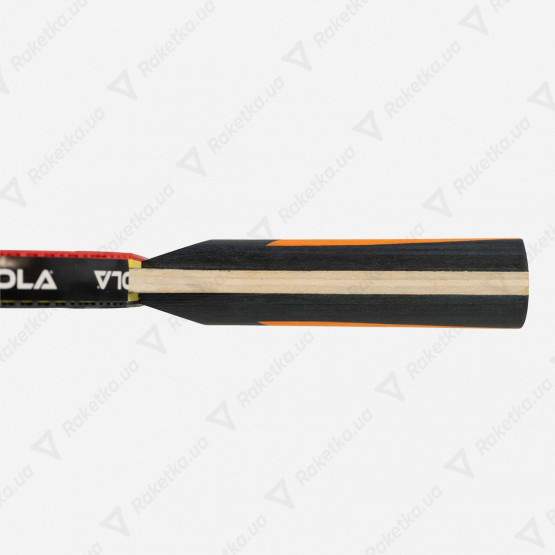 Joola Carbon Control