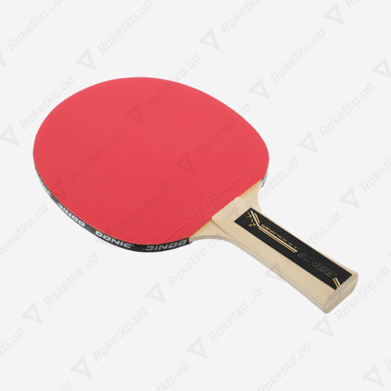 Donic Waldner 300