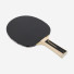 Donic Waldner 300