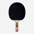Donic Legends 900 FSC
