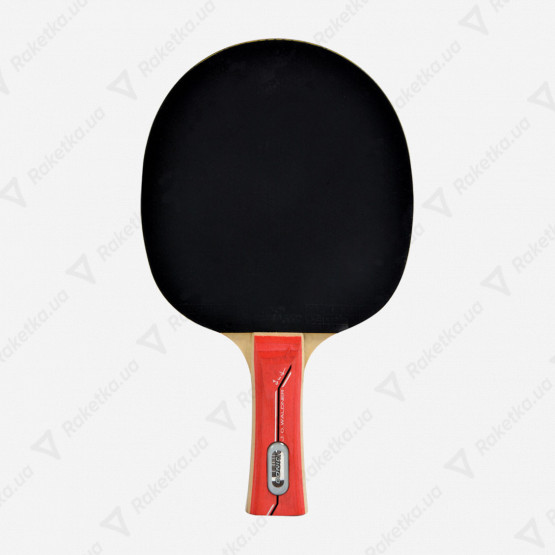 Donic Waldner 600 Gift Set