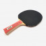 Donic Waldner 600 Gift Set