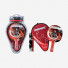 Donic Waldner 600 Gift Set