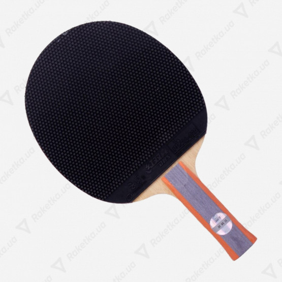 DHS R6003