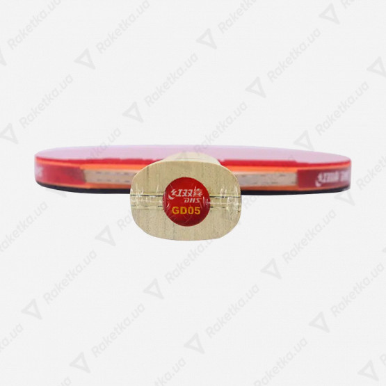 DHS Gold Medal Ding Ning 05