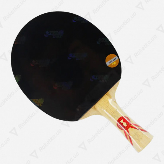 DHS Gold Medal Ding Ning 05