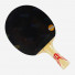 DHS Gold Medal Ding Ning 05