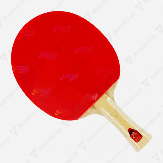 DHS Gold Medal Ding Ning 05