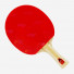 DHS Gold Medal Ding Ning 05